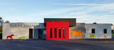 Les animaux aussi aiment l’architecture!!!